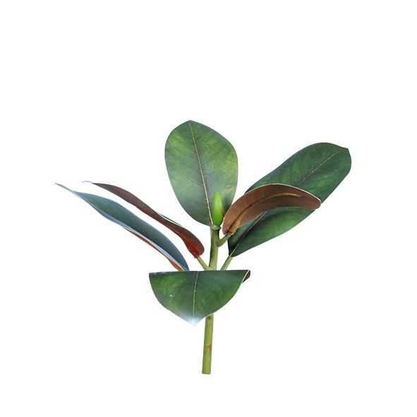 An Artificial Flora Sweetbay Magnolia Leaf on a stem against a white background.