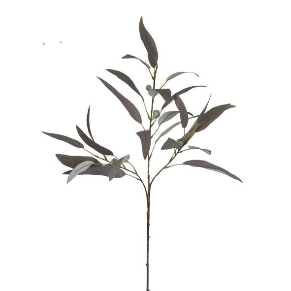 Willow Eucalyptus - Narabor Grey