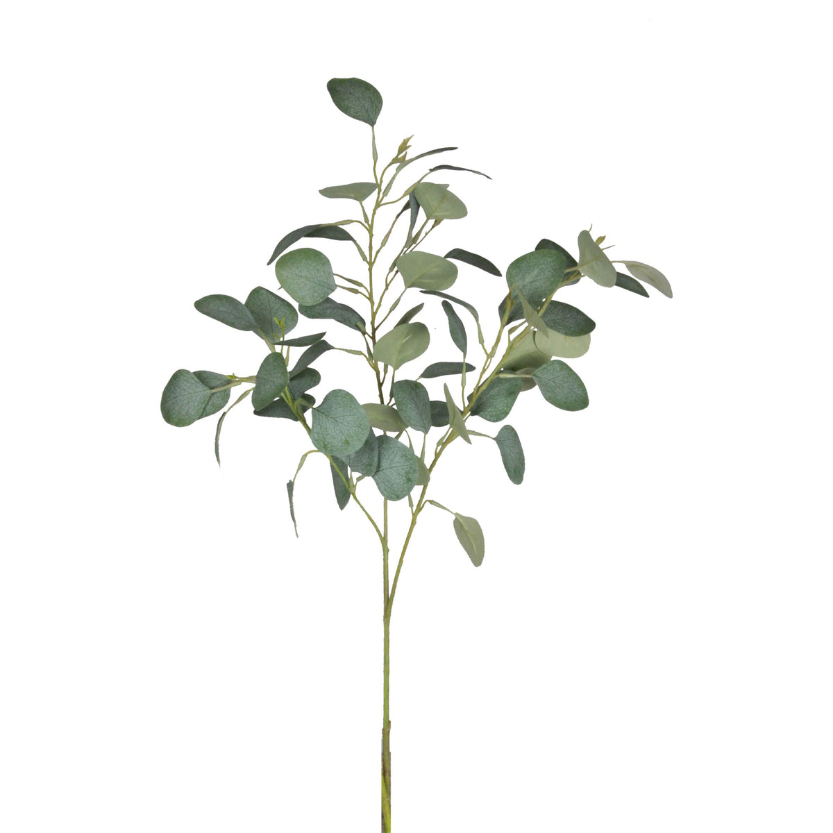 River Gum Eucalyptus stem, 86cm faux greenery on a white background