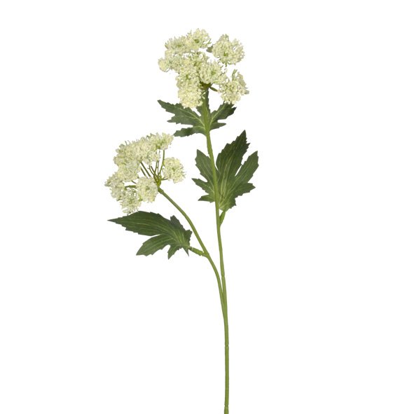 Queen Anne's Lace faux stem with white lace blooms and green leaves on a plain background