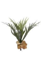 A small Mini Staghorn Fern Bush by Artificial Flora on top of a white background.