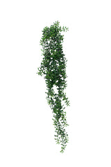 A Cresent Hanging Succulent 74cm by Artificial Flora on a white background.
