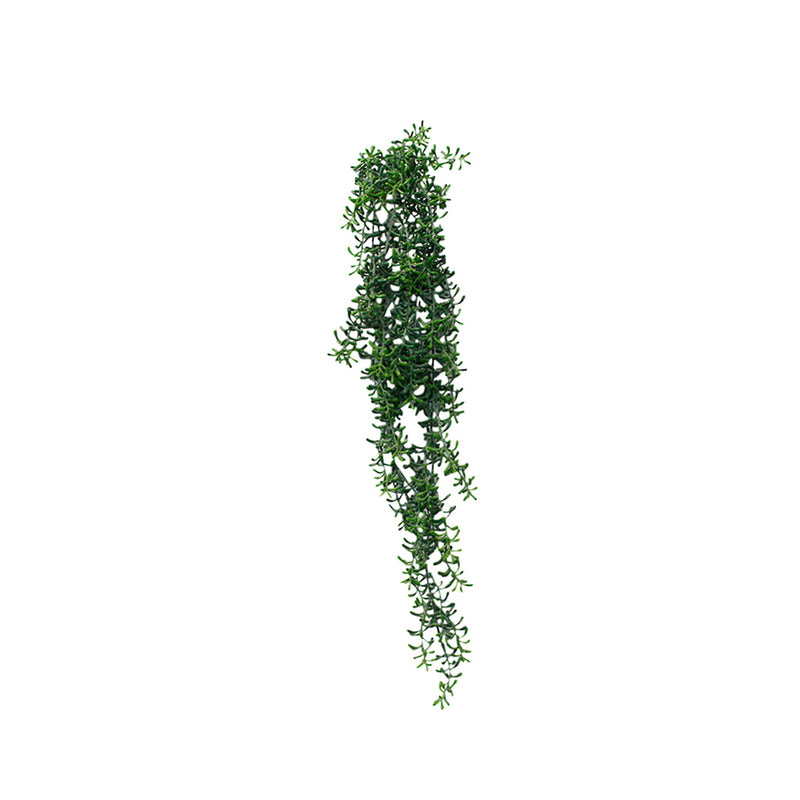 A Cresent Hanging Succulent 74cm model of an artificial plant on a white background by Artificial Flora.