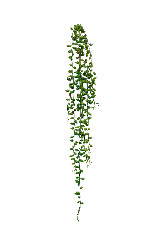 A green String of Tears 71cm artificial plant hanging on a white background by Artificial Flora.