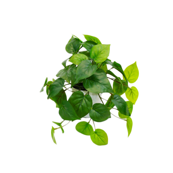 An Artificial Flora Potted Philo Bush Real Touch in a pot on a white background.