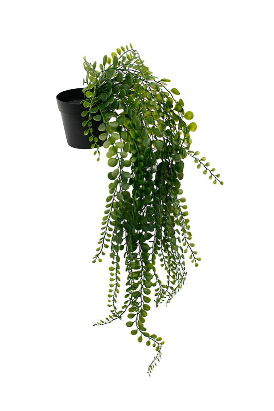 An Artificial Flora Pea Leaf Hanging Bush Potted hanging from a black pot on a white background.