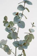 Artificial Flora's Eucalyptus Spray Grey on a white background.