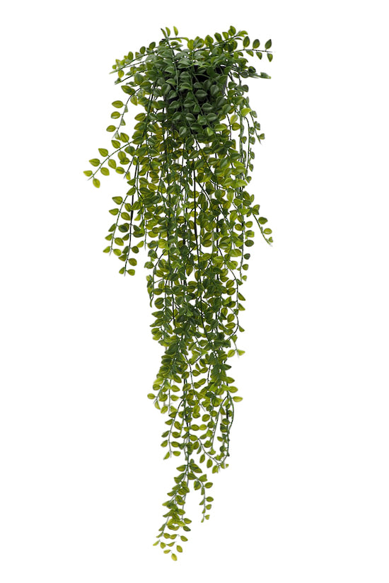 An Artificial Flora Potted Dischidia Hanging Plant on a white background.