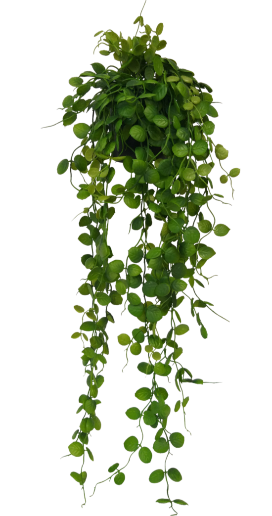 An Artificial Flora Potted Saxifraga Veitchi hanging on a black background featuring artificial foliage sprays.