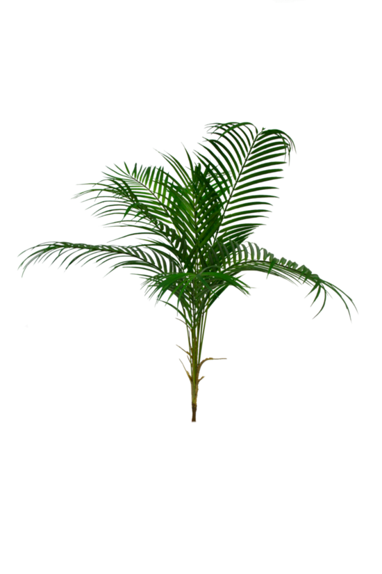 An Artificial Flora Plastic Areca Palm Spray with foliage on a black background.
