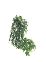 An Artificial Flora Faux Hanging Eucalyptus Plant Green / Grey on a white background.
