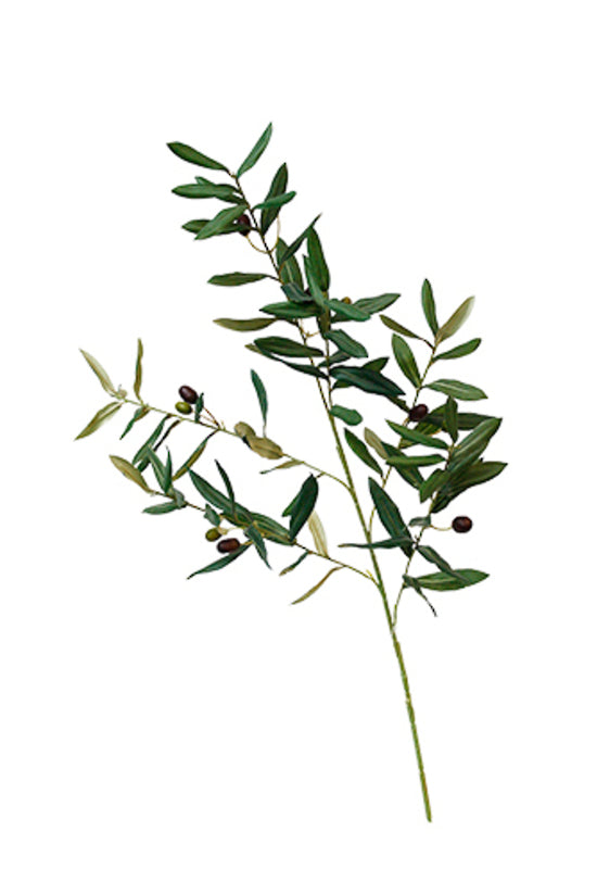 Faux olive branch with slim grey-green leaves and small dark olives, shown on white