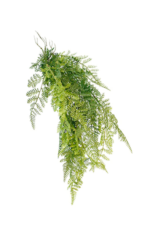 Hanging Leather Fern