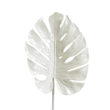 A white White Split Philo Leaf elegantly placed on a white background, showcasing the beauty of greenery. (Brand Name: Artificial Flora)