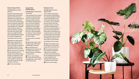 The book open at plant profiles beside philodendrons on a stand against a pink wall