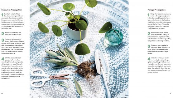 The book open at propagation steps, with cuttings, scissors and a small pilea on a patterned tray