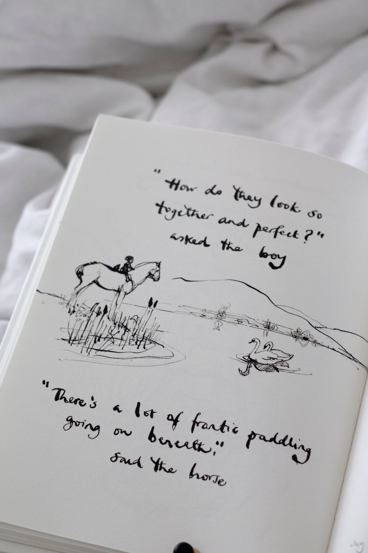 A Charlie Mackesy | The Boy, The Mole, The Fox and The Horse book.