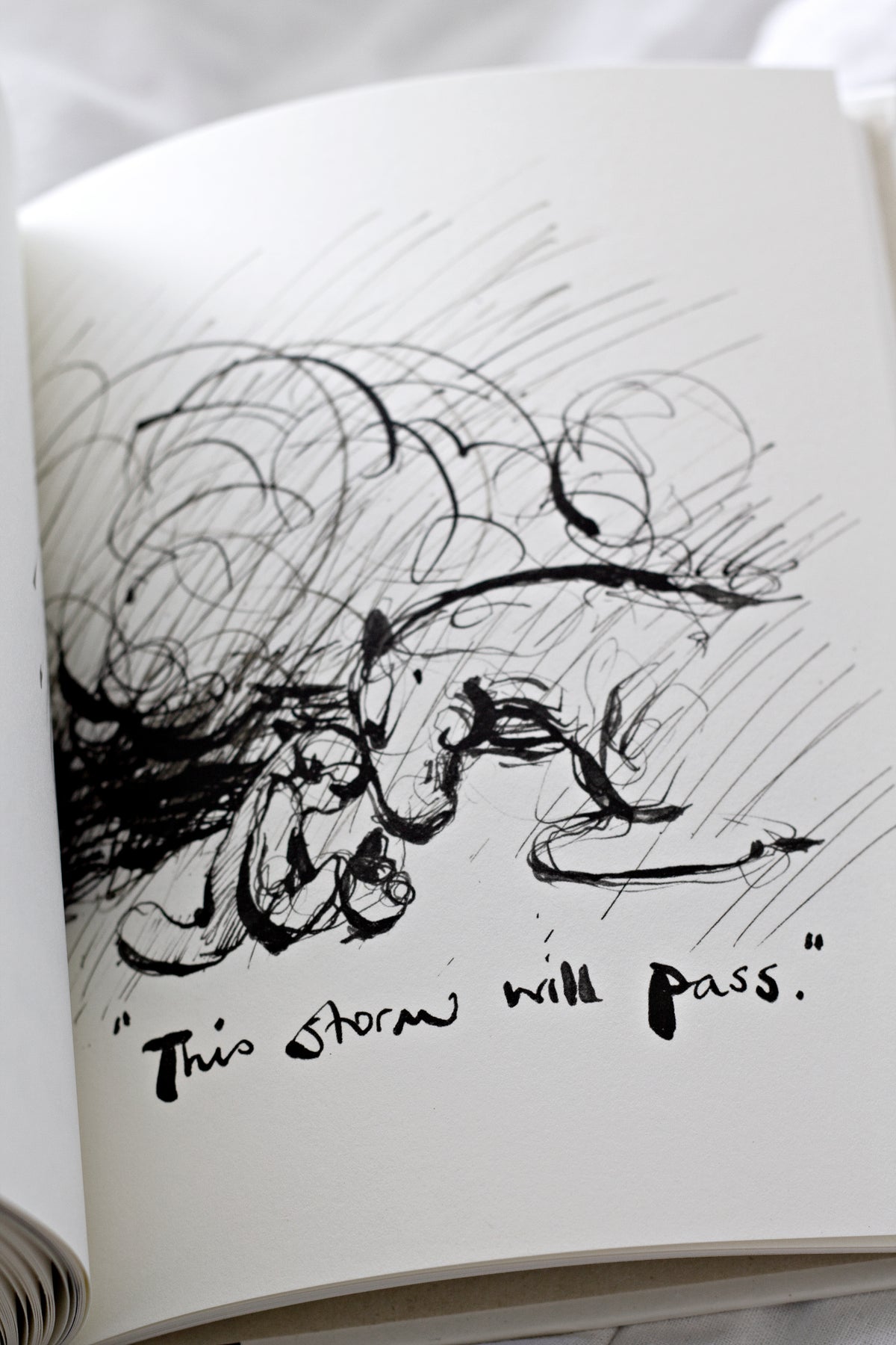 An open Charlie Mackesy | The Boy, The Mole, The Fox and The Horse book with a drawing of a teddy bear.