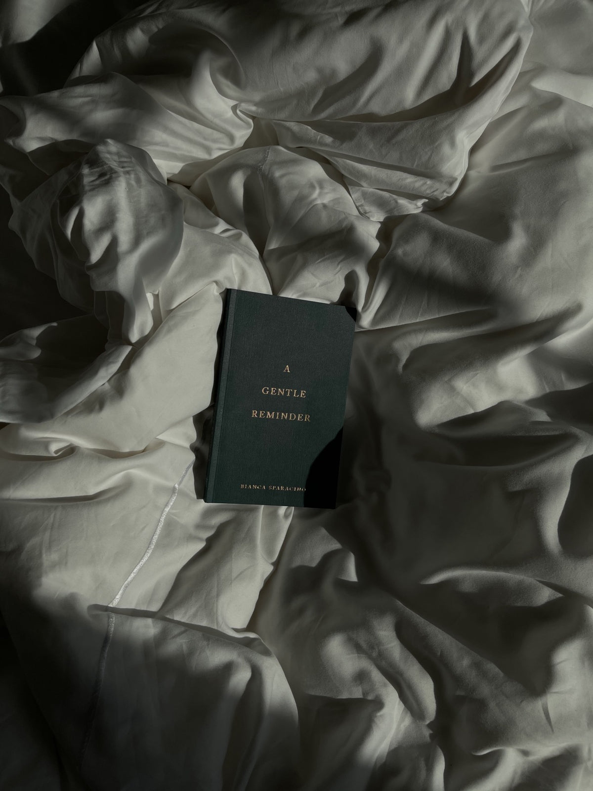 A Gentle Reminder by Bianca Sparacino, front cover detail