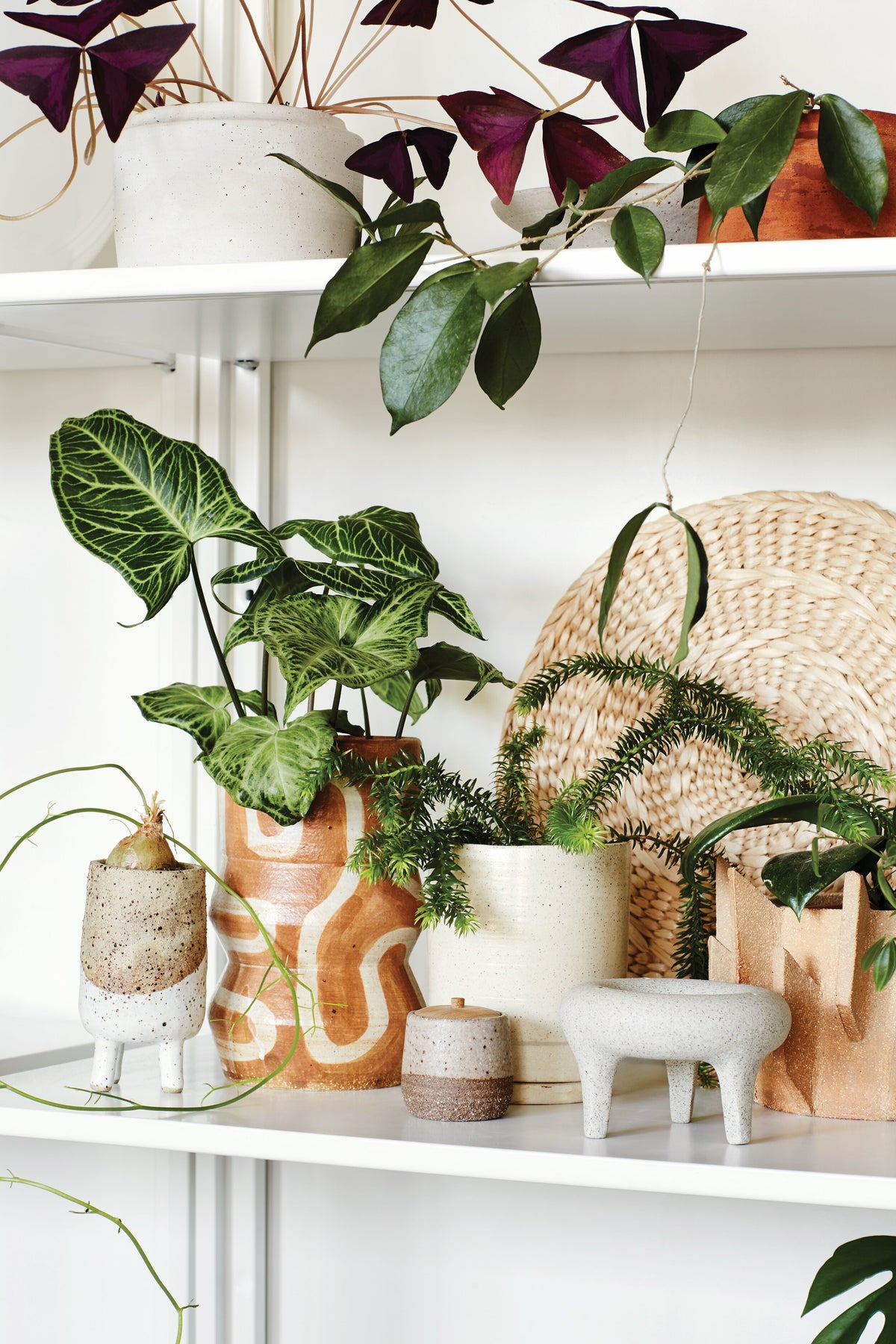 Nature Style page spread showing a styled shelf with plants