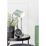 A minimalist Karlsson Alarm table lamp adorned with an aesthetic plant and clock.
