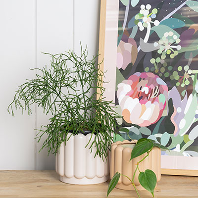 An Oslo Planter - Ice White Mini, made of stoneware, sits on a wooden table next to a framed print.