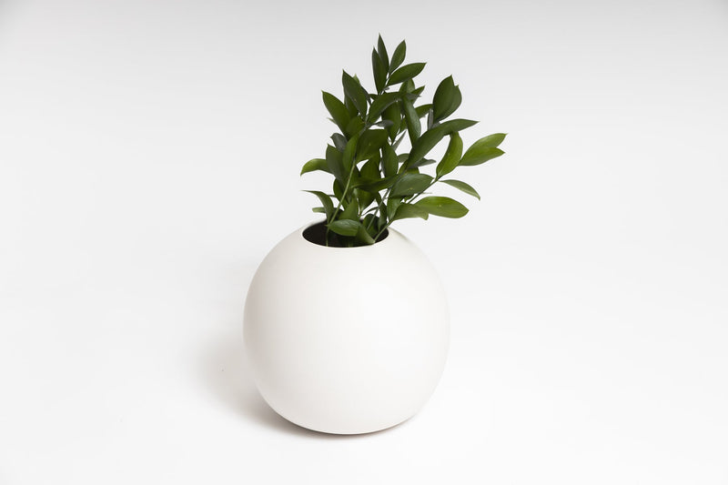 A Harmie Vase - Various Options by Ned Collections with a plant in it.