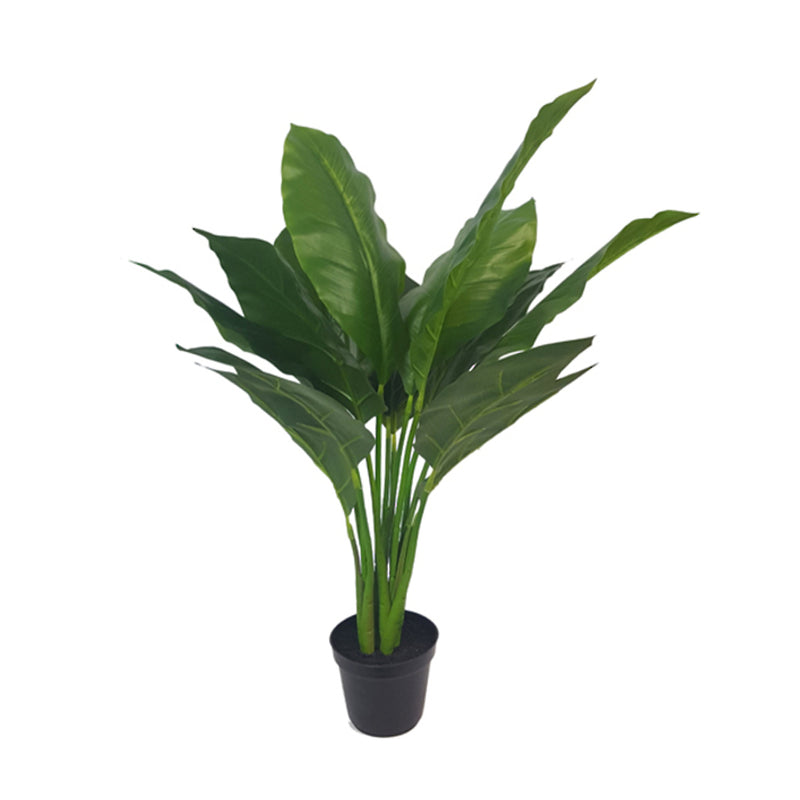 Real Touch Spathiphyllum Potted