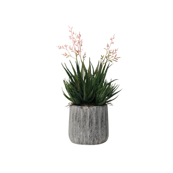 An Artificial Flora Haworthia in Cement Pot 35cm with pink flowers.