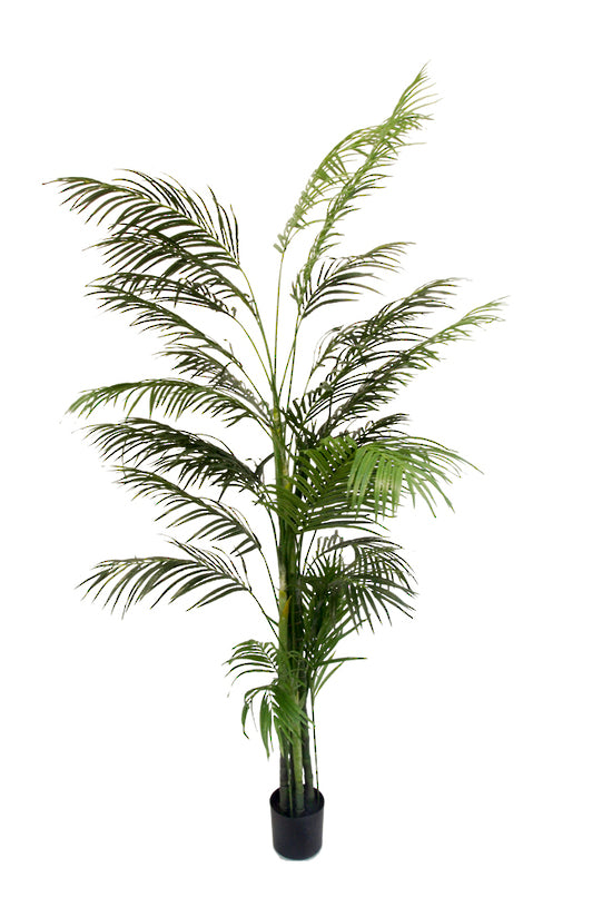 An Artificial Flora Potted Areca Palm 2.4m on a white background.