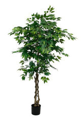 A potted artificial ficus tree on a white background.