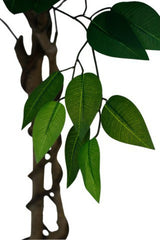 An Artificial Flora Ficus Tree Potted 180cm with green leaves on a white background.