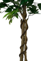 An Artificial Flora Ficus Tree Potted 180cm with foliage and a snake wrapped around it.