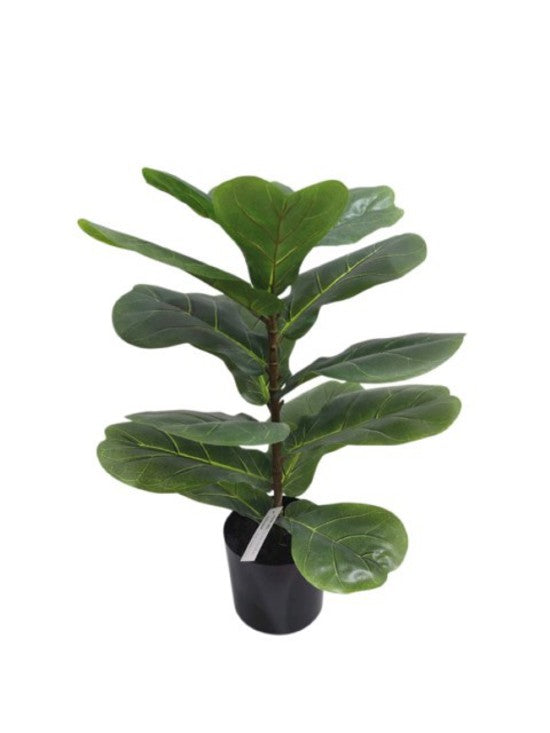 Fiddle Leaf Plant Potted 56cm by Artificial Flora in a black pot.
