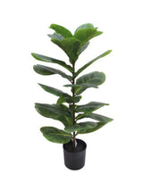 Artificial Fiddle Leaf Plant Potted 71cm by Artificial Flora in a black pot.