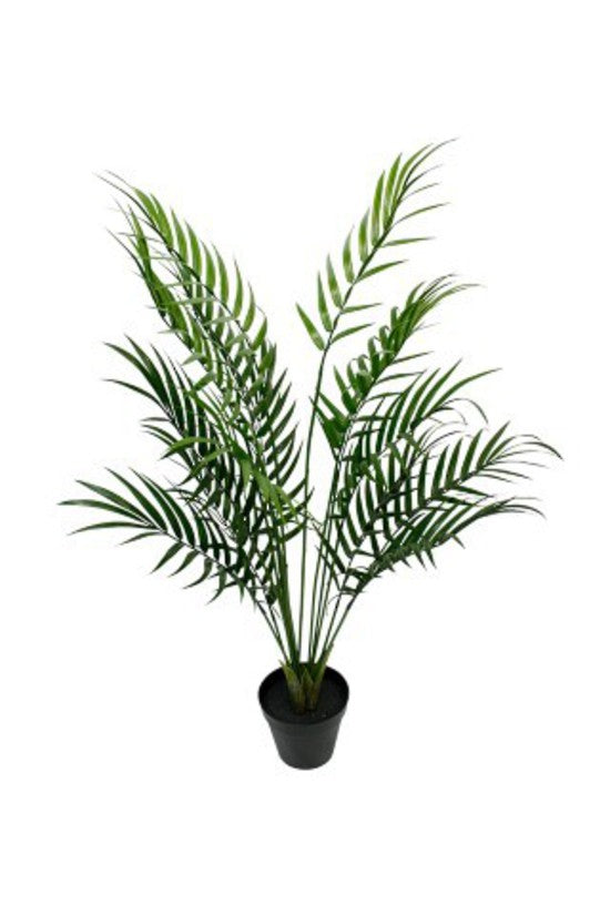 An Areca Palm Tree Potted in a black pot on a white background by Artificial Flora.