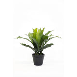 [Scandinavian Inspired Home Decor & Furniture Online ] - Flux Boutique