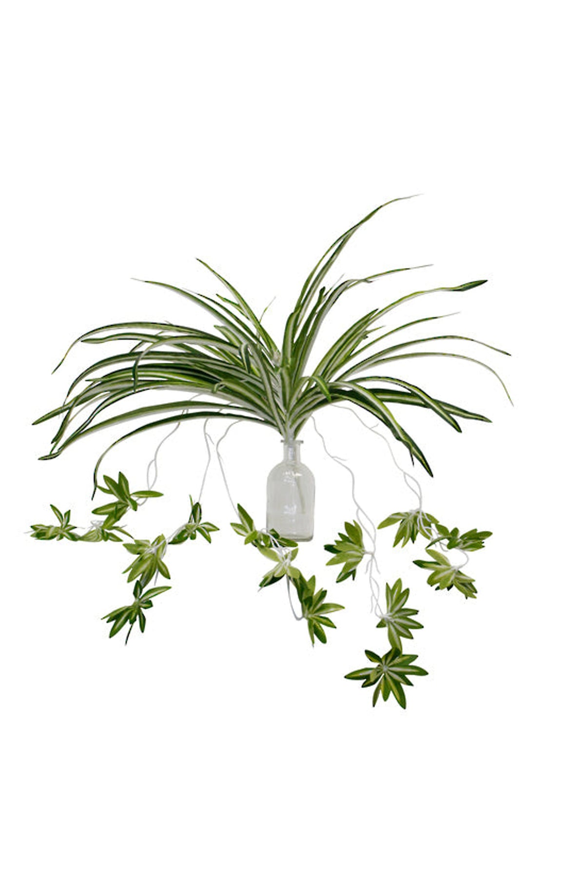 Faux spider plant, 64cm, in a vase on white