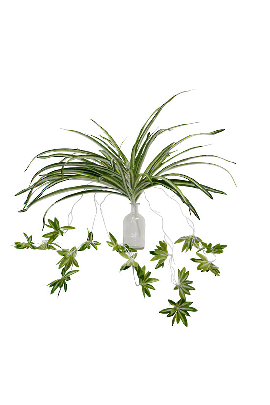 A green Spider Plant 64cm by Artificial Flora sits in a vase on a white background.