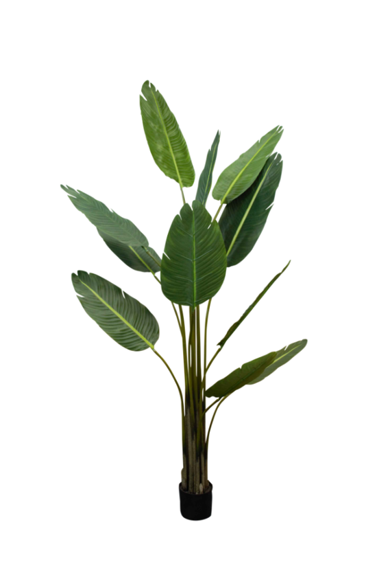 An Artificial Flora Strelitzia Nicolai 1.8m in a pot against a black background.