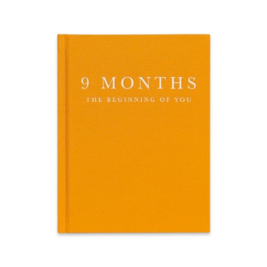 9 Months, The Beginning of You pregnancy journal by Write To Me with an orange linen cover