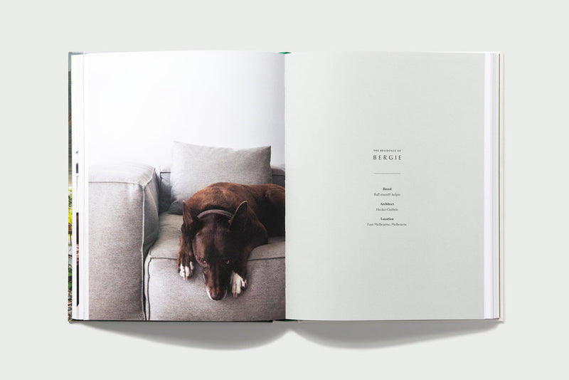 An open Resident Dog Volume 2 | Nicole England with a dog laying on a couch.