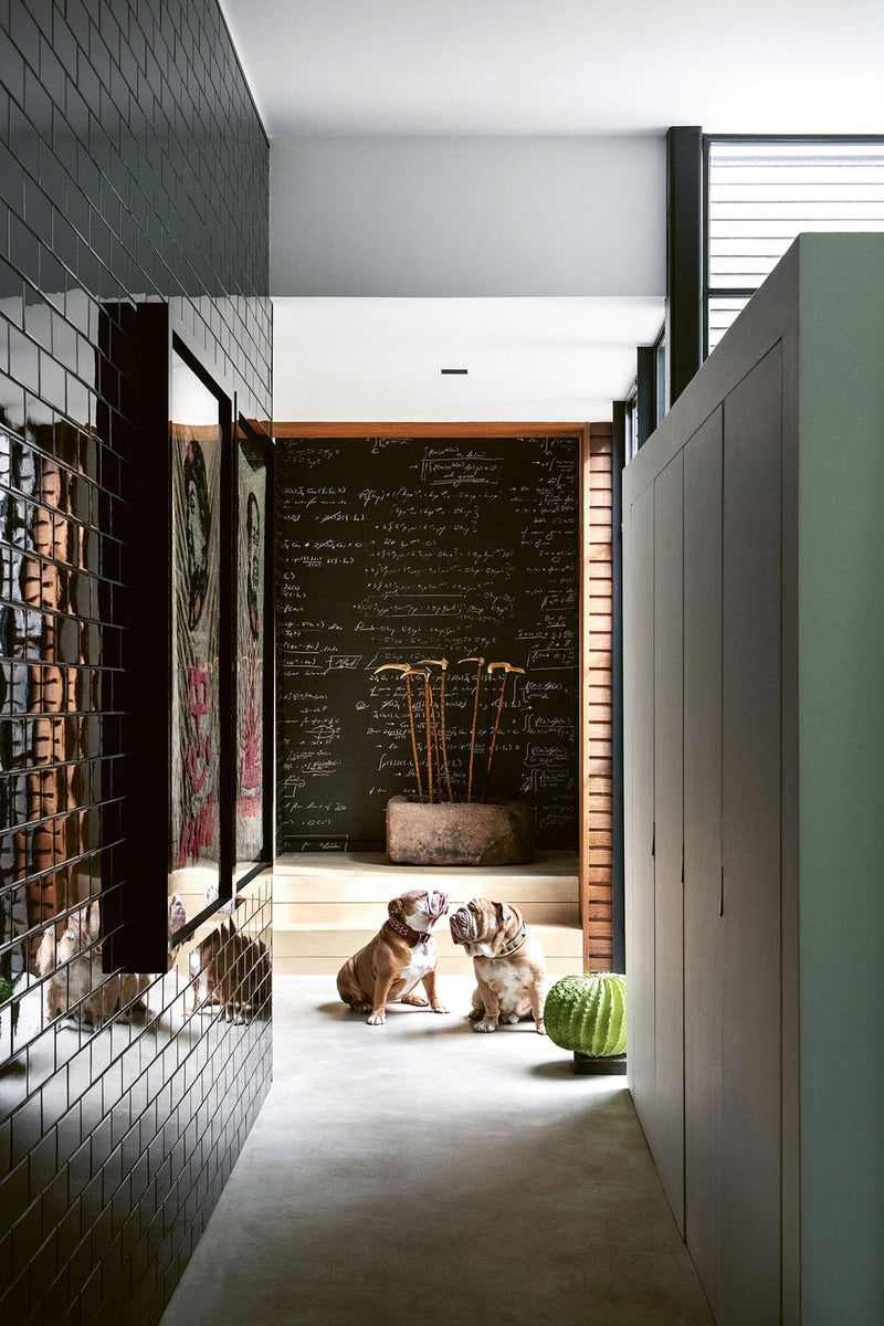 A hallway with a black tiled wall and two Resident Dog | Nicole England Books.