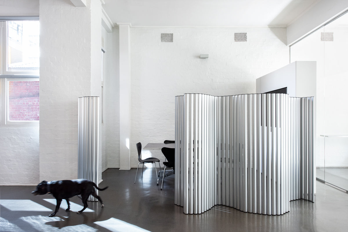 Black dog in a white room beside a curved sculptural folding screen