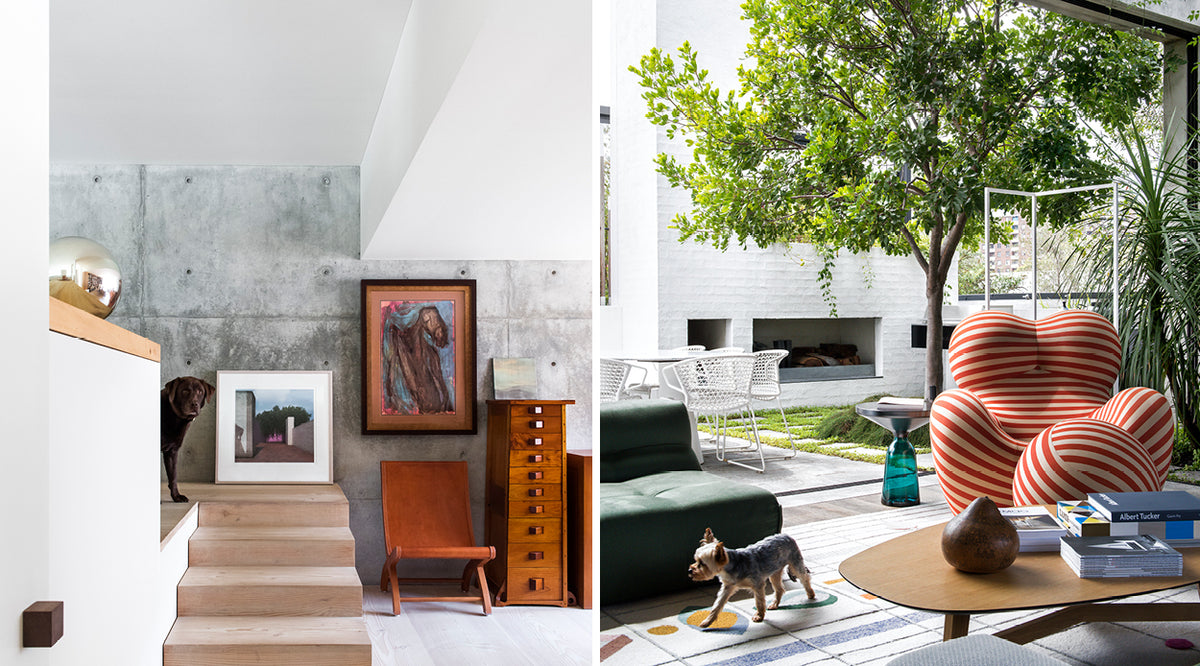 Two pictures of a living room with the Resident Dog Volume 2 by Nicole England.