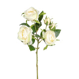 Garden Rose Spray - Ivory Green