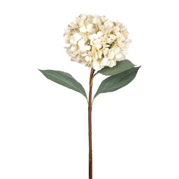 A Mophead Hydrangea - Cream on a stem against a white background with Artificial Flora artificial plants.