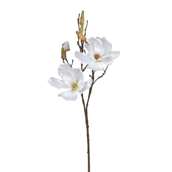 A realistic Artificial Flora Magnolia Grandiflora - White, the artificial flora bouquet, delicately showcases a white flower on a stem against a pure white background.