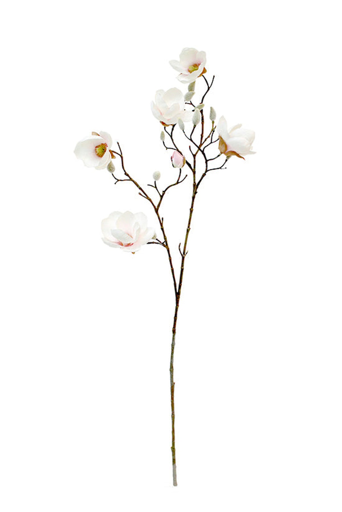 Faux magnolia spray with white blooms edged in soft pink on a white background