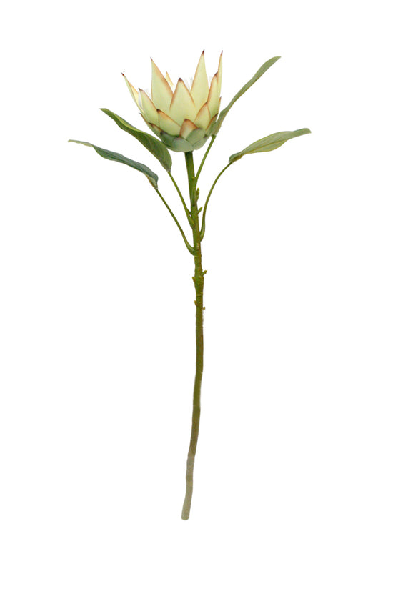 A King Small Protea Spray Green on a stem against a white background, surrounded by Artificial Flora plants and foliage sprays.
